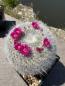 Preview: Mammillaria hahniana